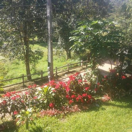 Phuoobfa Resort Pong Yaeng Ngoại thất bức ảnh
